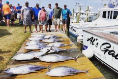 Tuna, Tuna, Tuna - OBX Fishing