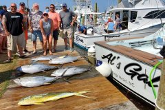 Yellowfin Tuna, Mahi Fishing - OBX