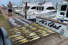 Mahi Mahi and Tuna Fishing Report