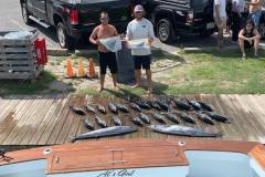 Sailfish Catch with Wahoo and Blackfin Tuna