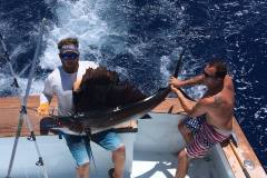 Sailfish Caught in Gulf Stream