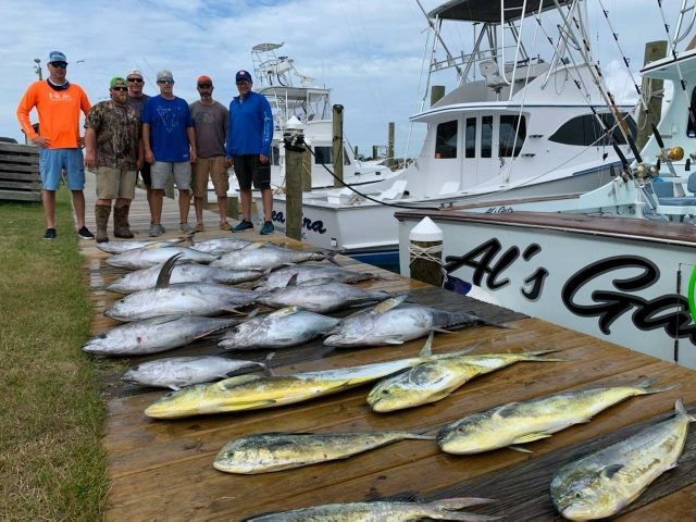 yellowfin tuna charter