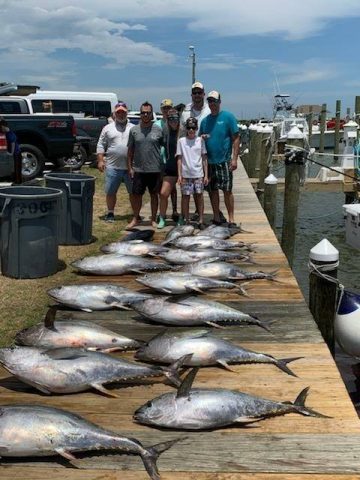 fishing for yellowfin tuna