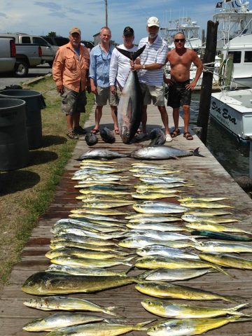 Mahi Fishing and Tuna Caught out of Oregon Inlet