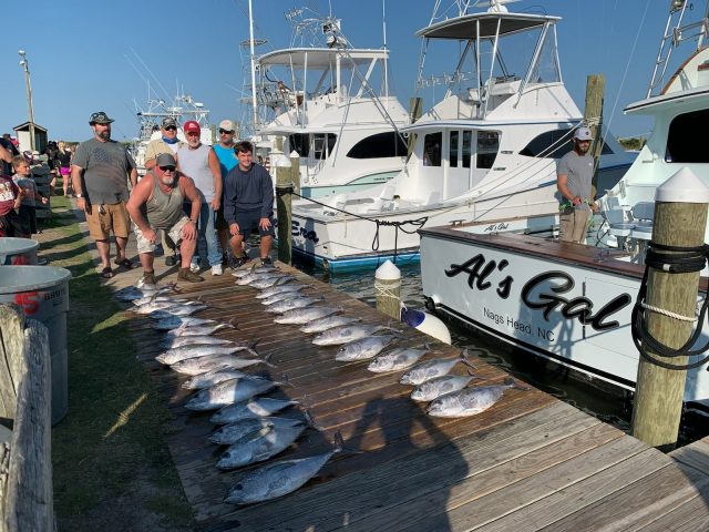 obx blackfin tuna fish