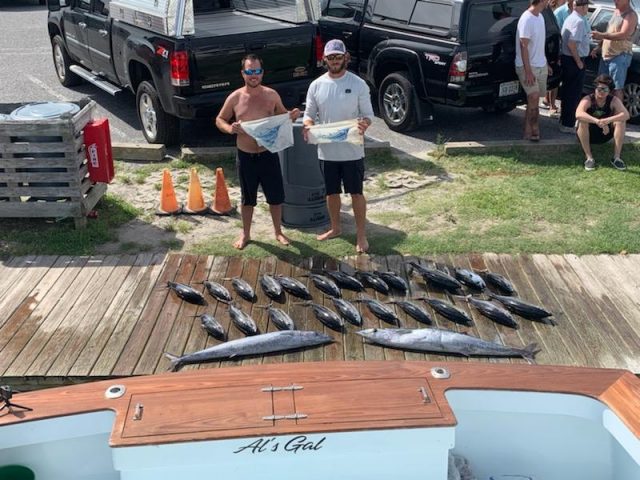 sailfishing on the outer banks with tuna