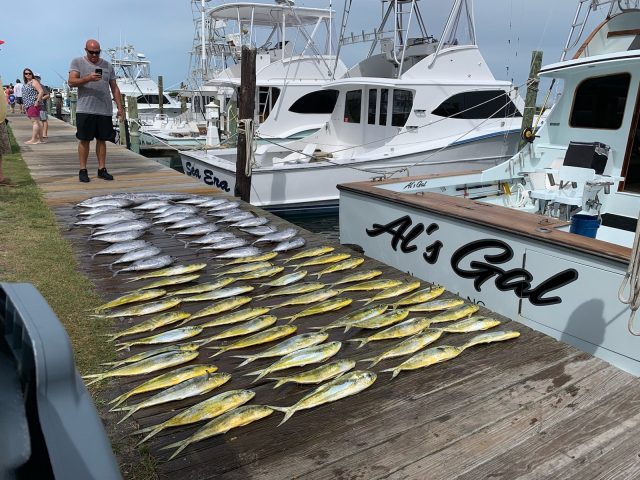 offshore fishing charter - obx