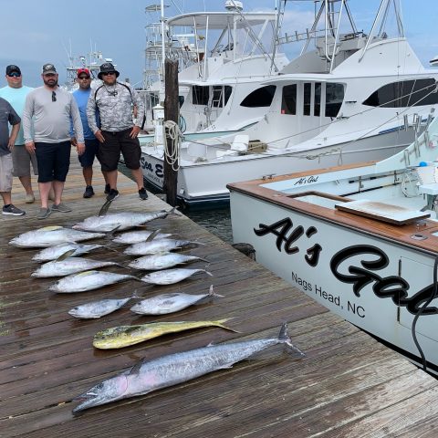 tuna mahi wahoo fishing charter