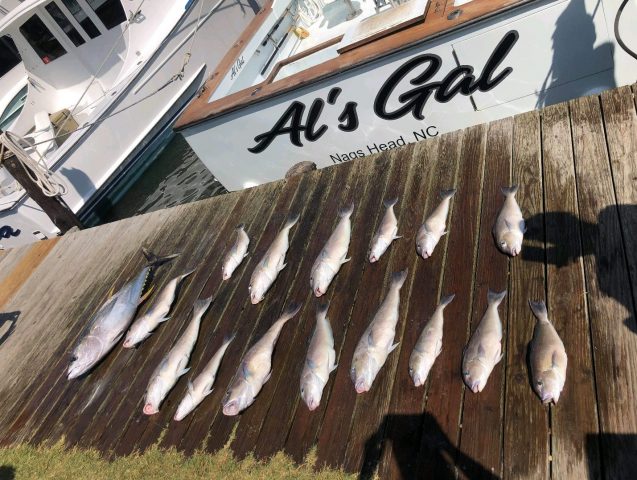 Tile Fishing on the outer banks